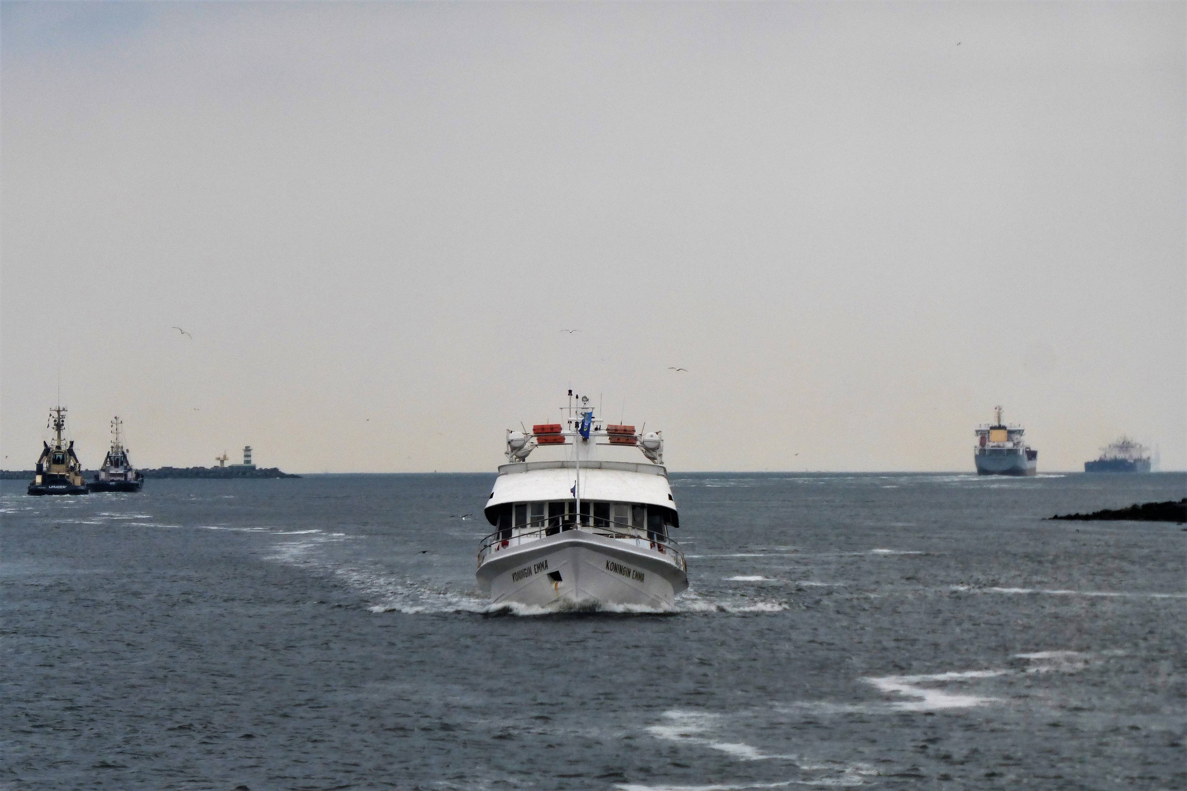 Pieren IJmuiden   17-05-19 